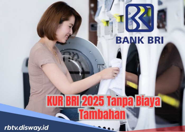 Usaha Laundry Makin Bersinar dengan KUR, Ini Angsuran KUR BRI Pinjaman Rp 20 Juta