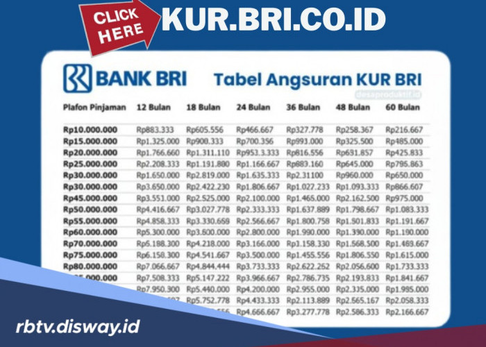 Tabel Angsuran KUR BRI November 2025 Pinjaman Rp 10-50 Juta, Bebas Pilih Jangka Waktu