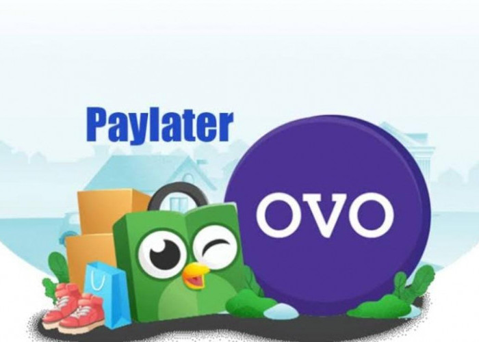 Lunas Sebelum Jatuh Tempo, Ikuti Langkah Bayar Tagihan OVO PayLater Berikut 