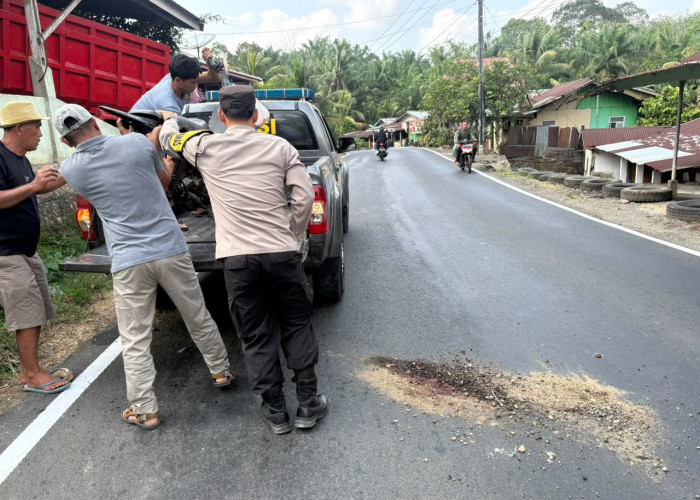 Kecelakaan Maut di Seluma, Satu Penumpang Motor Meninggal Dunia Usai Tabrakan
