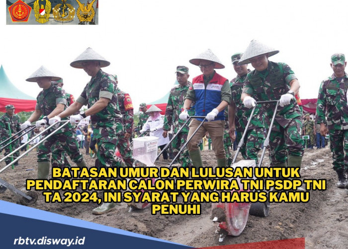 Batasan Umur dan Lulusan untuk Pendaftar Calon Perwira TNI PSDP TA 2024, Ini Syarat yang Harus Dipenuhi