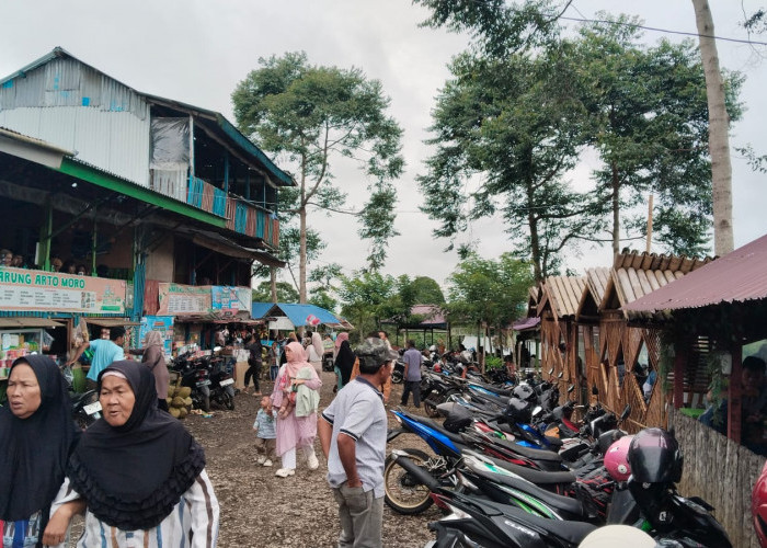 Libur Tahun Baru 2025, Pedagang di Alun-alun Mountain Valley Kabawetan Kepahiang Banjir Rupiah