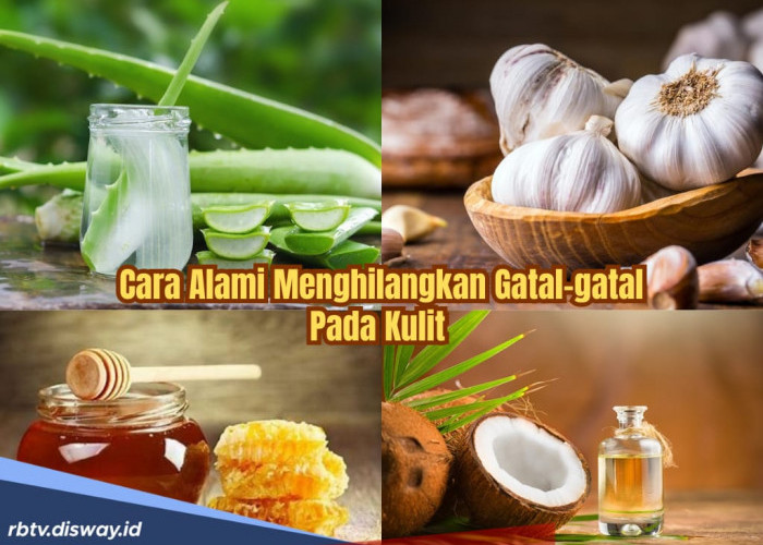 6 Bahan Alami untuk Menghilangkan Gatal-gatal di Badan Karena Penyakit Kulit