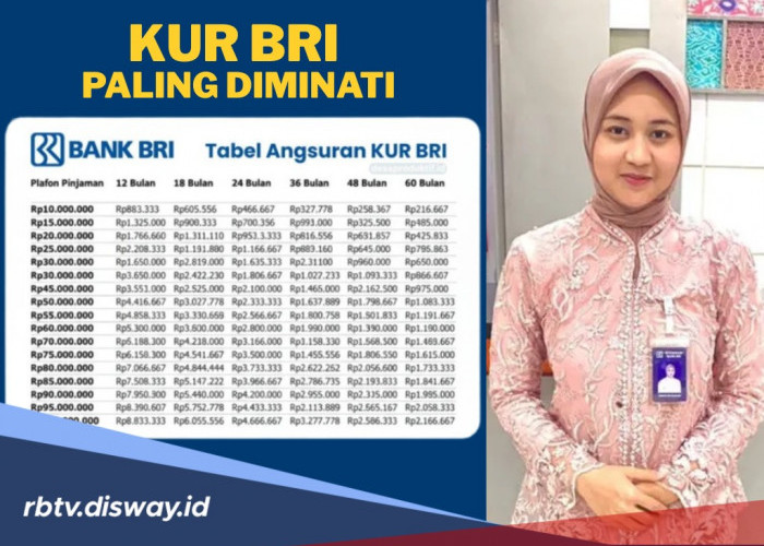 Hanya KUR BRI Bulan November Bisa Pinjam Rp 50 Juta dengan Angsuran Rp 85 Ribu, Ini Cara Mendapatkannya