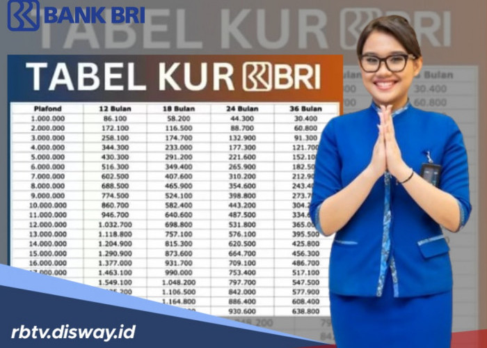 10 Fakta Tentang Pinjaman KUR BRI 2025 untuk Modal Usaha UMKM