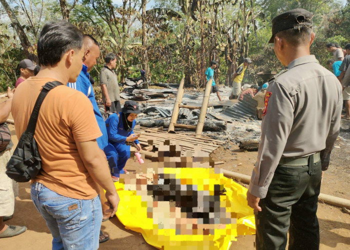 Tragis, Warga Kota Padang Ditemukan Meninggal di Pondok Kebun yang Terbakar 