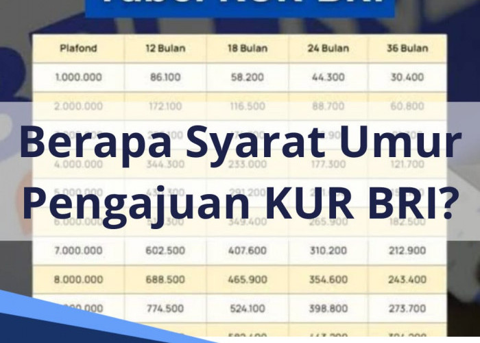 KUR BRI 2024, Syarat Pemohon Umur Minimal Berapa? Cek Juga Simulasi Angsuran Pinjaman BRI Rp 10-30 Juta