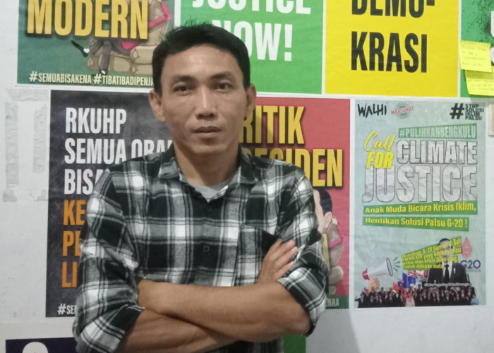 Walhi Kecam dan Sayangkan Tindakan Masyarakat Tebang Pohon di Pantai Panjang