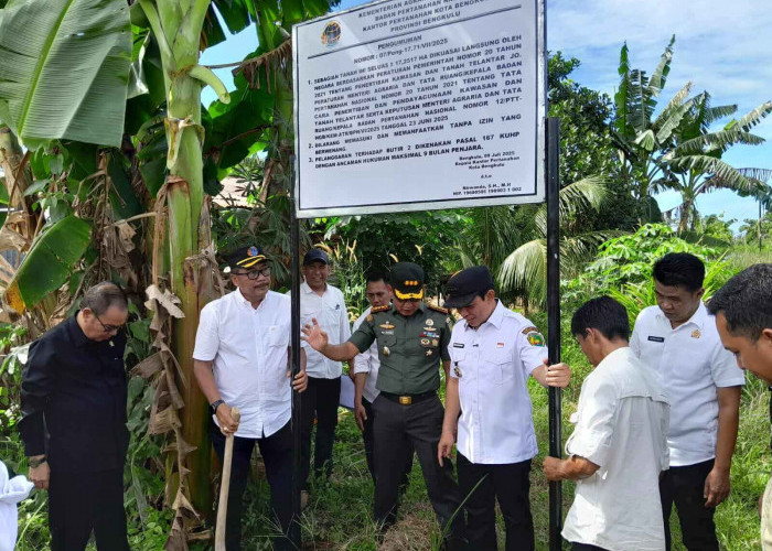 Penertiban Aset Lahan Terlantar di Kota Bengkulu, Simak Penjelasan Wali Kota Dedy
