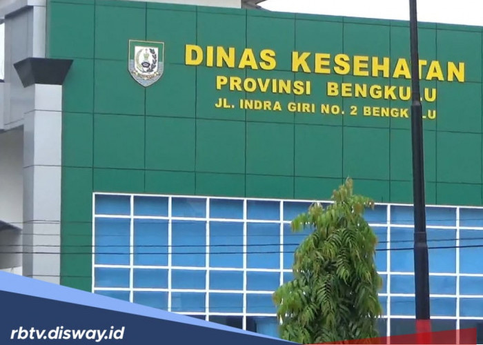 Kasus DBD di Bengkulu Meningkat, Tertinggi di Rejang Lebong Tembus 181 Kasus 