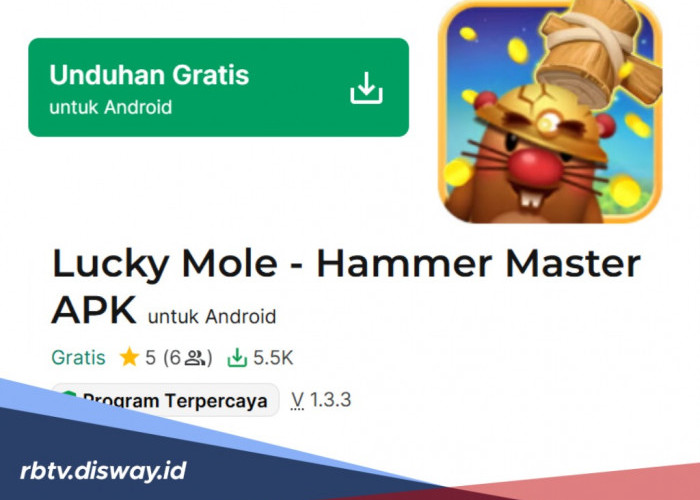 SELAMAT! Saldo DANA Masuk Gratis Lewat Game Memukul Tikus, Lucky Mole