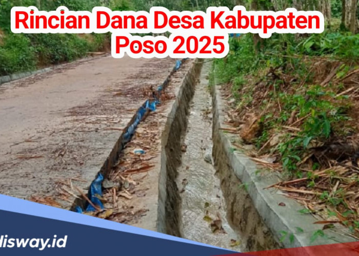 Rincian Dana Desa di Kabupaten Poso 2025, Berikut Nominal yang Diterima Tiap Desa 