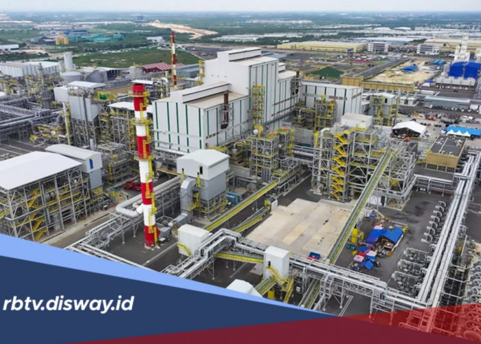 Buruan Daftar, PT Freeport Buka Lowongan Kerja Terbaru, Fresh Graduate Bisa Daftar