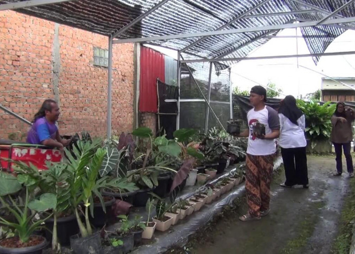600 Warga di Rejang Lebong Diusulkan Terima Bantuan Sosial Rp5 Juta per Orang
