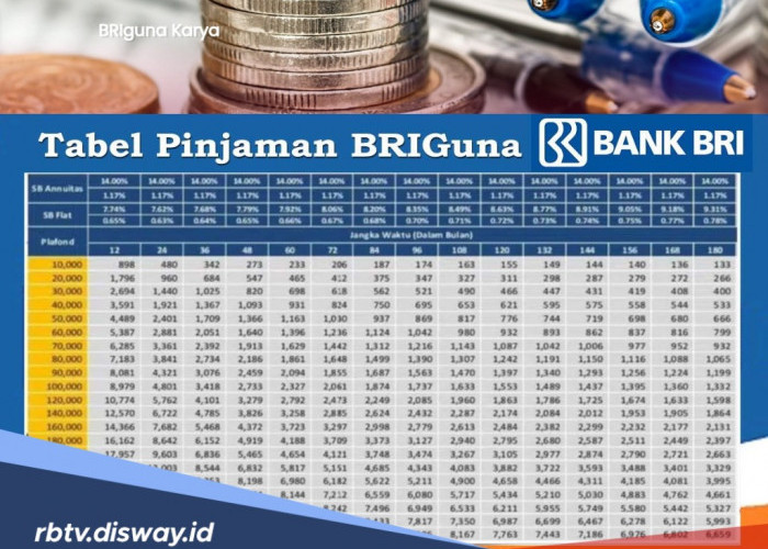 Bukan KUR, Pinjaman BRIguna Karya Ini Cocok Bagi Karyawan Swasta yang Terima Gaji Bulanan via BRI