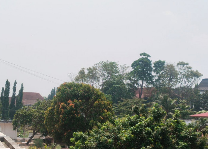 Penjelasan BMKG Tentang Kabut Asap Pagi Hari di Provinsi Bengkulu