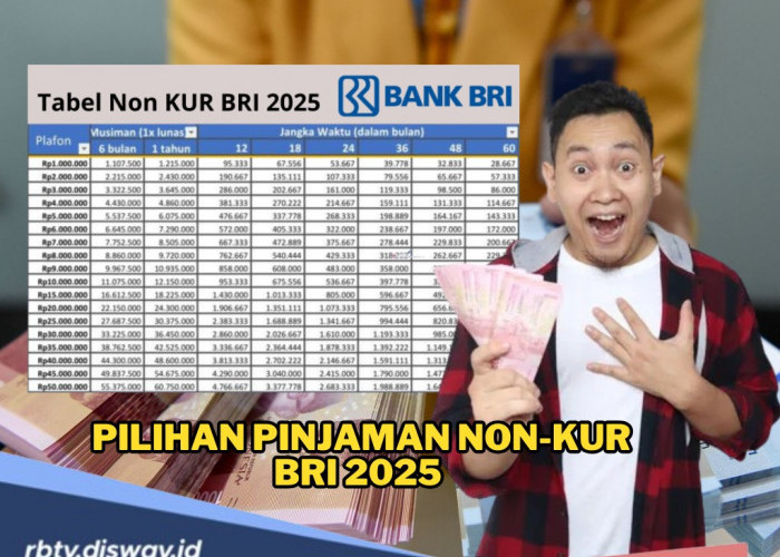 6 Pilihan Pinjaman Non-KUR BRI 2025 untuk Berbagai Kebutuhan, Cek Syarat dan Cara Pengajuan