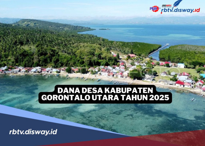 Rincian Dana Desa di Kabupaten Gorontalo Utara Tahun 2025, Cek Pembagian Desamu