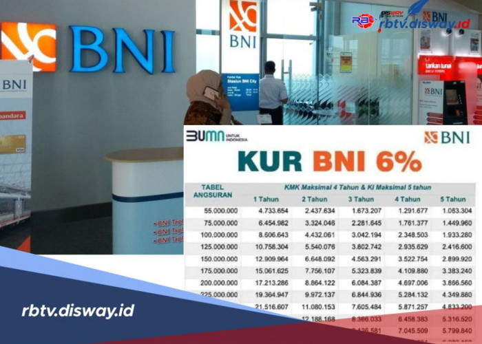 Awas Salah, Begini Cara Pengajuan Dana Rp 50 Juta di KUR BNI 2025, Cek Simulasi Angsuran