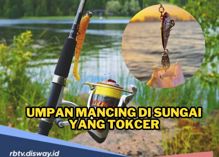 Ingin Hasil Pancingan Berlimpah? Ini Rekomendasi Umpan Mancing di Sungai yang Tokcer!