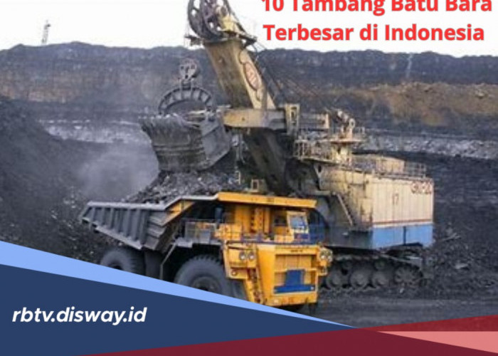 Penguasa Harta Karun, Ini 10 Tambang Batu Bara Terbesar di Indonesia, Segini Jumlah Produksinya