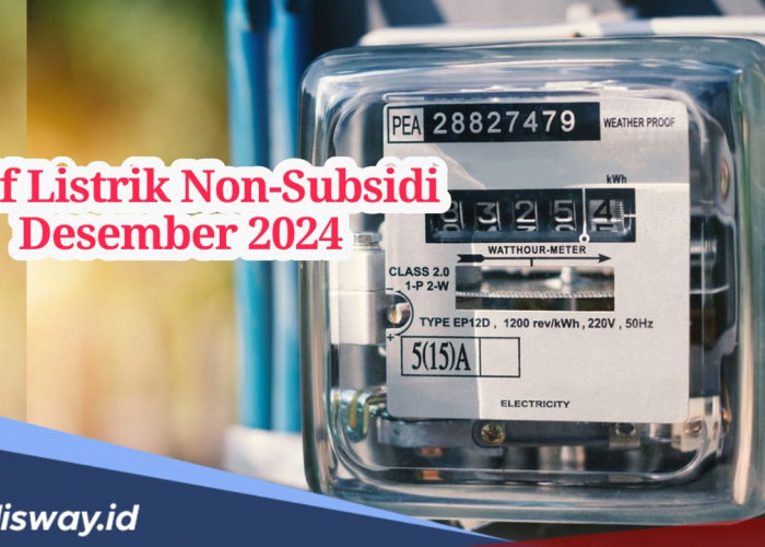 Segini Tarif Listrik Non Subsidi Per Desember 2024, Ada Kenaikan?