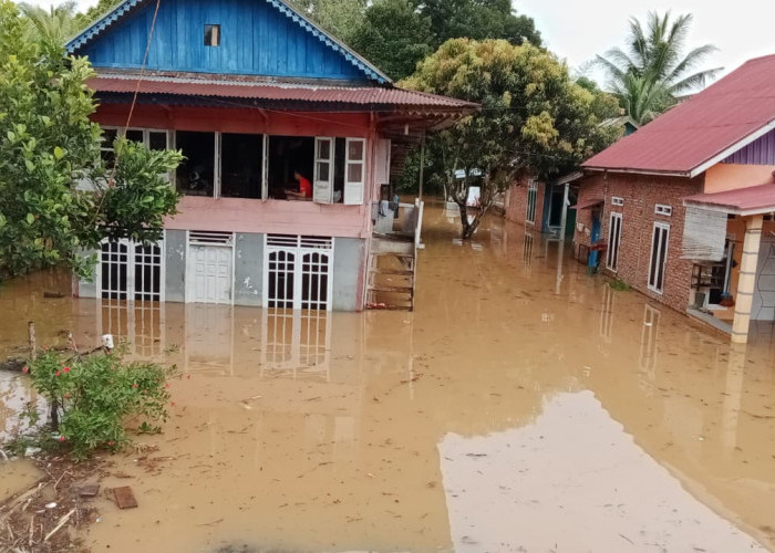 162 Rumah di Bengkulu Tengah Terdampak Banjir, Warga Mengungsi Sejak Senin Dini Hari