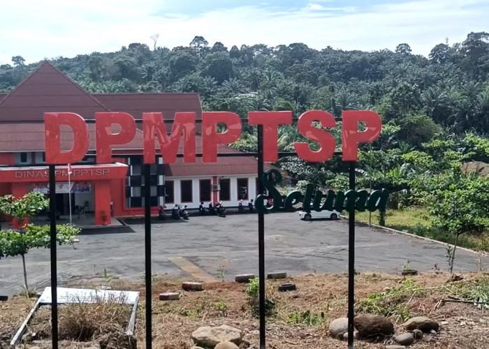 Dongkrak Harga TBS, Investor Baru Siap Bangun Pabrik CPO di Masmambang Seluma