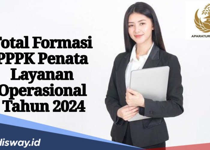  Total Formasi PPPK Penata Layanan Operasional Dibutuhkan Tahun 2024