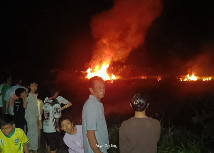 Heboh! Lahan Ilalang Dekat Pasar Sembayat Seluma Timur Terbakar