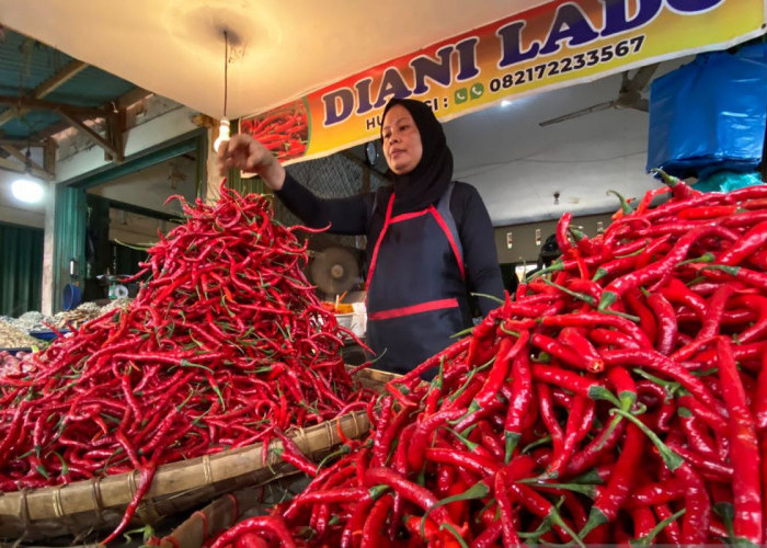 Harga Cabai Naik hingga Rp 100 Ribu per Kilogram, Ternyata Ini Penyebabnya