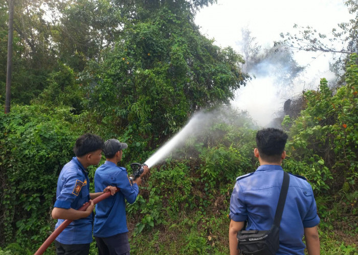 Lahan Semak Belukar Depan Gedung Pendopo Bukit Kandis Bengkulu Tengah Terbakar