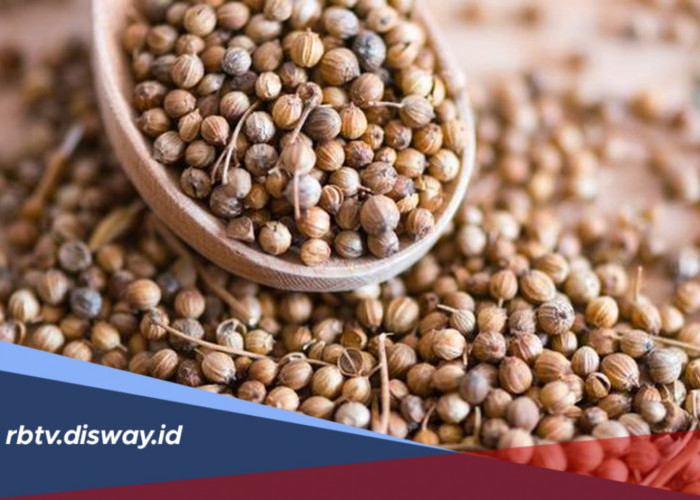 Berkhasiat Turunkan Kadar Gula Darah, Ini Resep Minuman Herbal dari Biji Ketumbar 