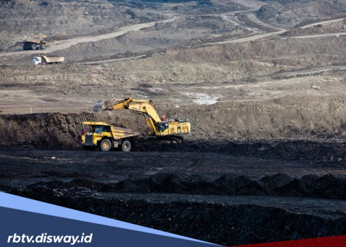 Bahaya Tambang Ilegal Bagi Lingkungan dan Cara Mengurus Izin Resminya