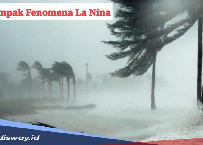 Dampak Bencana Alam dan Waspada Penyakit dari Fenomena La Nina