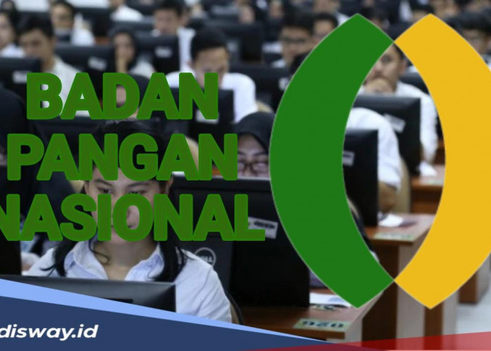 Ada 152 Formasi CPNS di Badan Pangan Nasional, Cek Kriteria dan Syarat Daftarnya