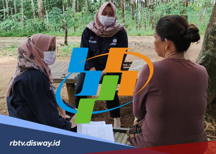 Bisakah Mitra Statistik BPS 2026 Perpanjang Kontrak Lagi? Begini Ketentuannya