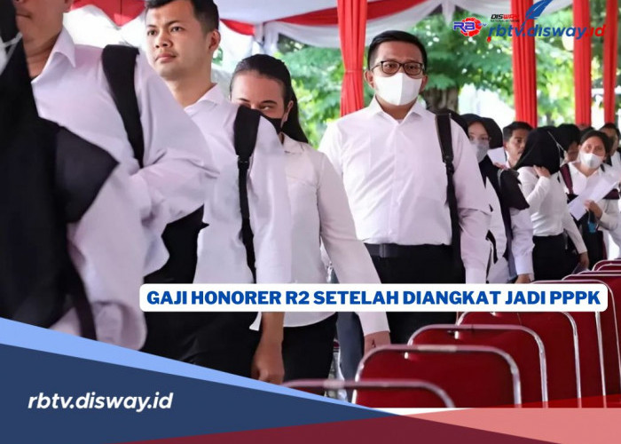 Ternyata Segini Gaji Honorer R2 Setelah Diangkat Jadi PPPK Paruh Waktu 2025, Tembus Rp 3 Juta?