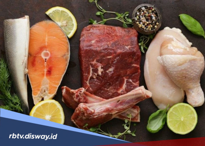 Catat Baik-baik, Ini Sumber Protein Hewani Terbaik Pengganti Telur untuk Balita
