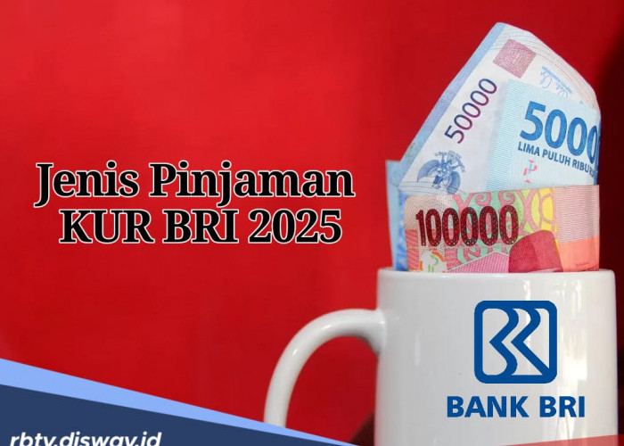 Sebelum Ajukan Pinjaman, Kenali Jenis Pinjaman KUR BRI 2025 