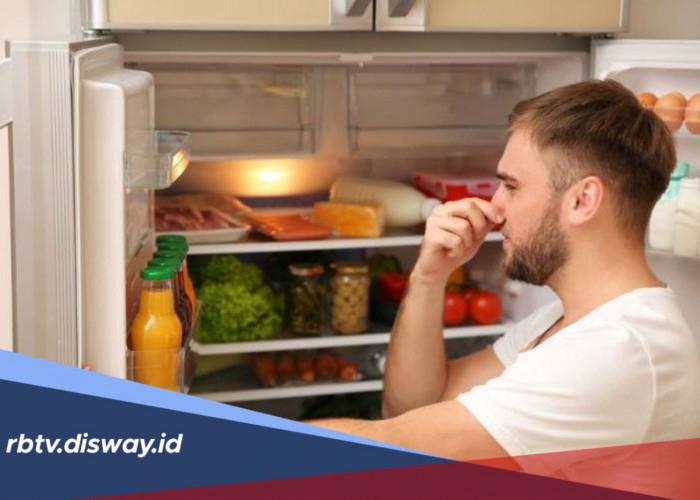 Cara Menghilangkan Bau Kulkas Secara Alami agar Tetap Segar dan Nyaman