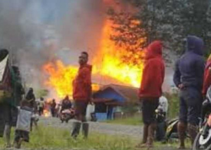KKB Papua Makin Brutal, Bakar Gudang Beras dan Tembak Warga