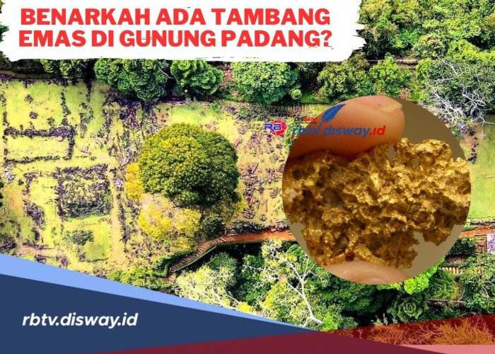 Benarkah Ada Tambang Emas di Gunung Padang? Begini Penjelasannya, Mitos atau Fakta?