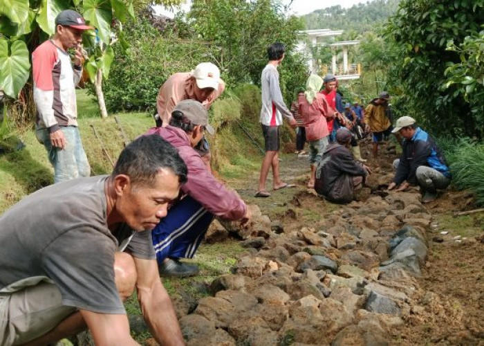 Dana Desa di Kabupaten Ogan Komering Ilir Tahun 2024, Cek Desa dengan Dana Terbesar di Sini