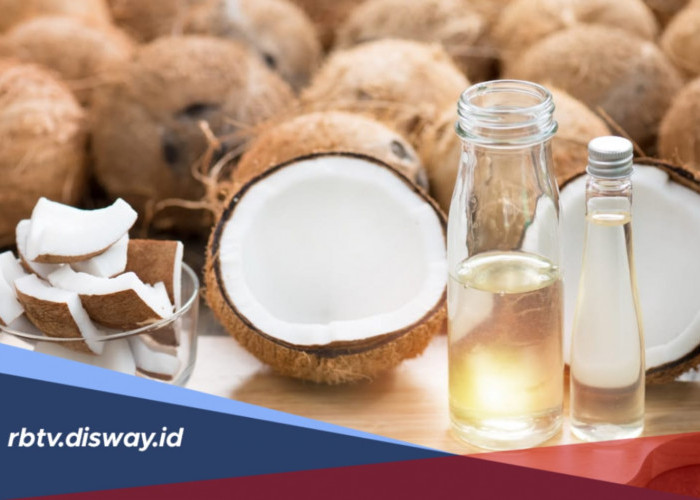 3 Pilihan Cara Membuat Minyak Kelapa, Mudan dan Lebih Sehat