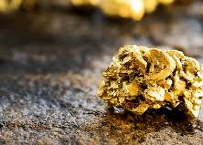 Gold Potential in West Sumatra, Indonesia, Could Produce 50 Kg per Day