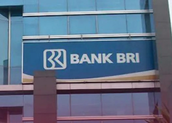 Simak Cara Terbaru Pengajuan KUR BRI 2025 Agar Disetujui Pihak Bank, Rp 50 Juta Langsung Cair