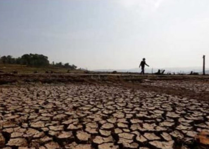 Warning, 32 Provinsi Dilanda Kekeringan, Ini 4 Dampak El Nino Bagi Kehidupan