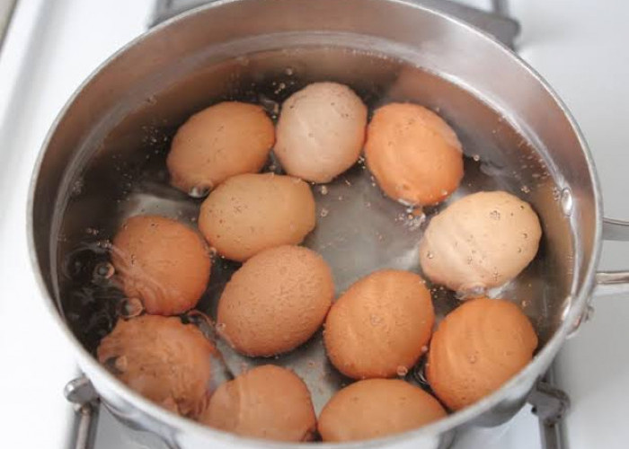 Begini Cara Merebus Telur Agar Mudah Dikupas dan Tidak Berantakan, Berapa Lama?