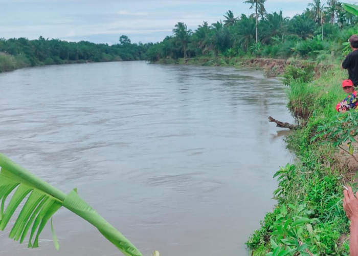 Erosi Sungai Alas, Jalan Lintas Barat Sumatera Jalur Bengkulu - Manna Terancam Amblas